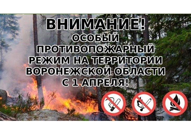 Уважаемые жители! С 1 апреля 2024 г. в соответствии с постановлением Правительства Воронежской области от 28 марта 2024 г. № 200 на территории Воронежской области установлен особый противопожарный режим.. Уважаемые жители! С 1 апреля 2024 г. в соответствии с постановлением Правительства Воронежской области от 28 марта 2024 г. № 200 на территории Воронежской области установлен особый противопожарный режим..